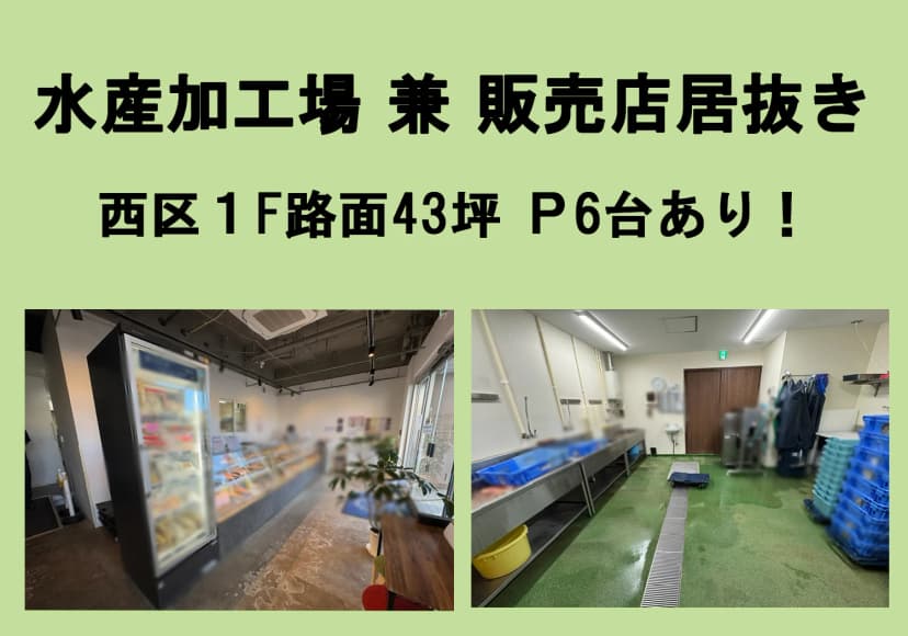 設備充実の水産加工場